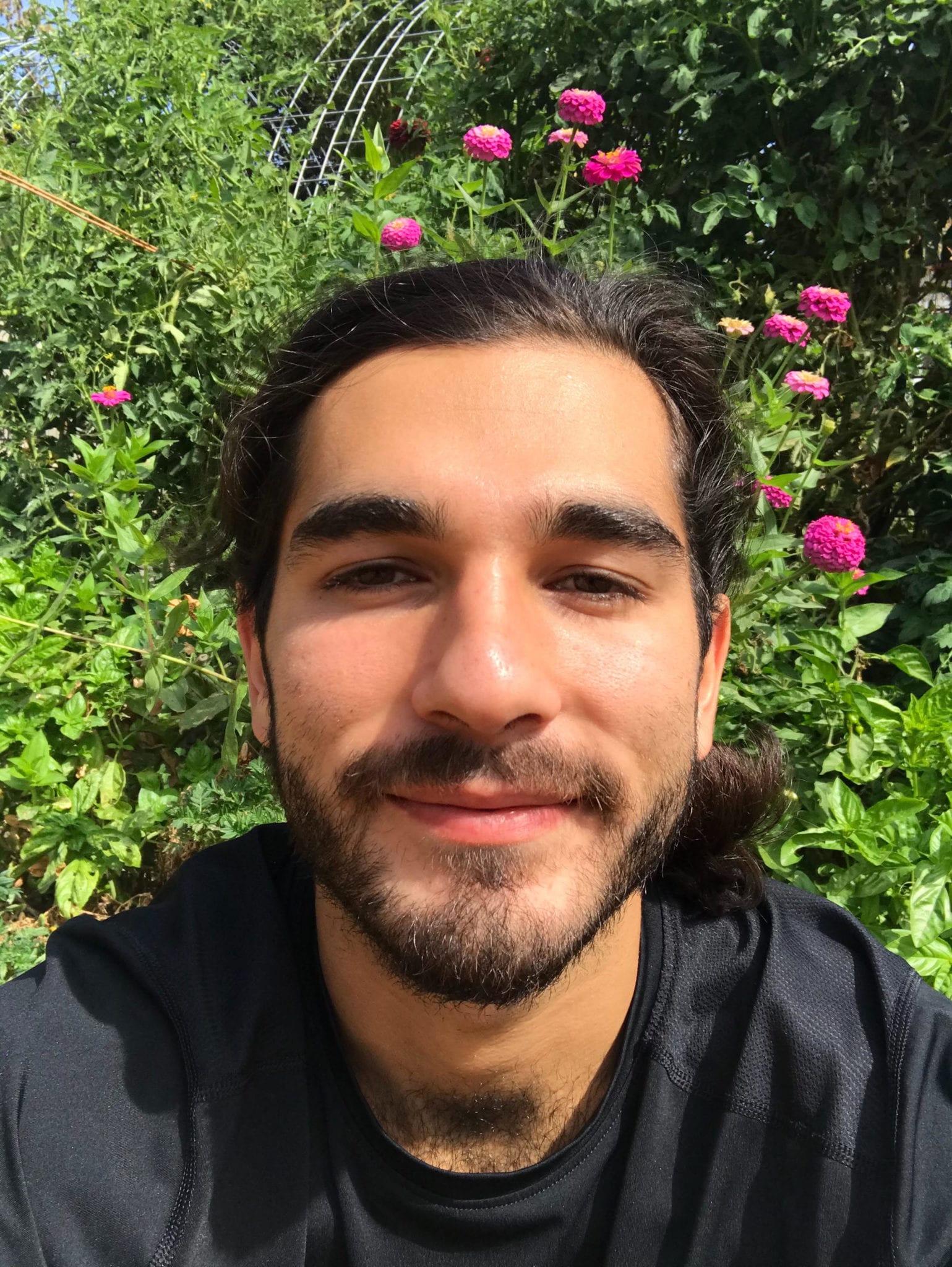 Dara Shokri
